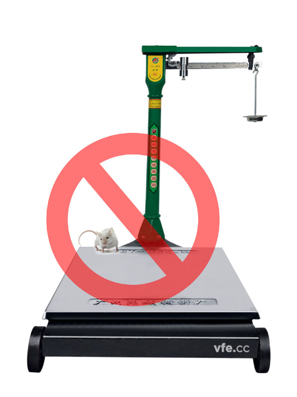 磅秤稱小老鼠 磅秤稱小老鼠