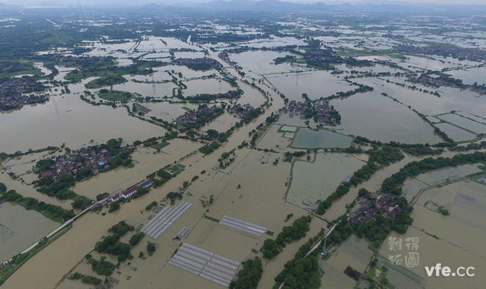 大量的良田被淹 大量的良田被淹