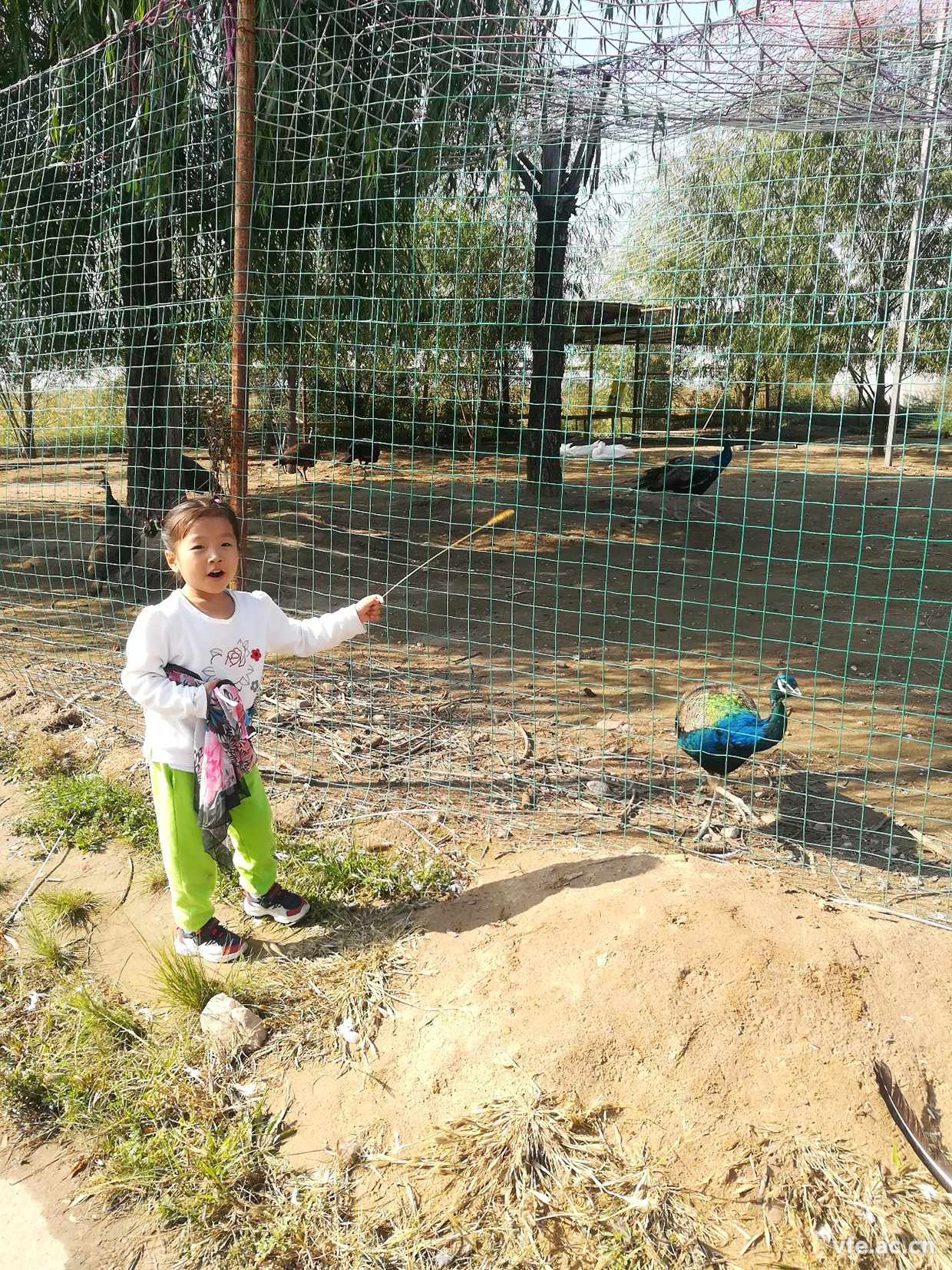 內(nèi)蒙之行，難忘之旅